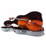 Advies over: Snaar-/strijkinstrumenten Advies over: Snaar-/strijkinstrumenten
