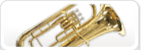 Euphonien
