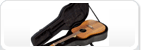 Gitaar
