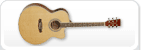 Guitares acoustiques