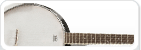 Banjo snaren