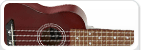 Ukelele Snaren