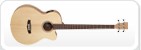 Guitares basses